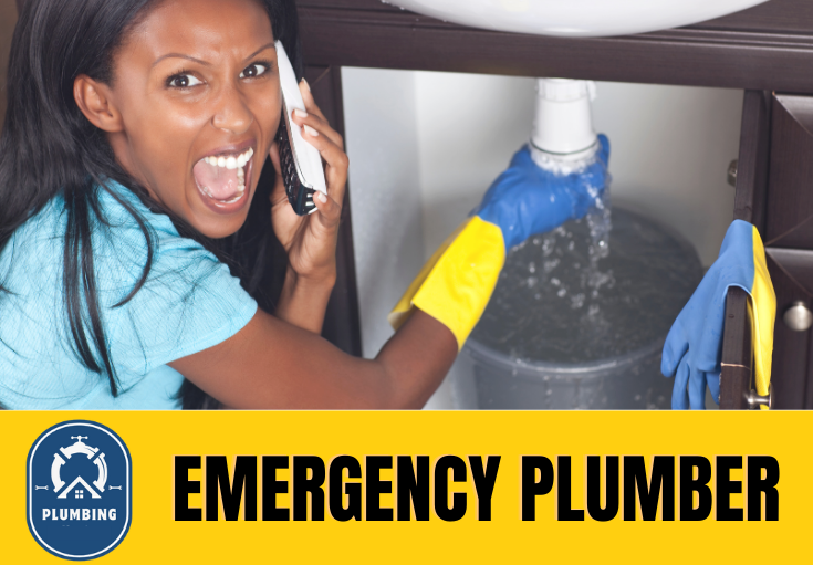 emergency plumber Rochester 