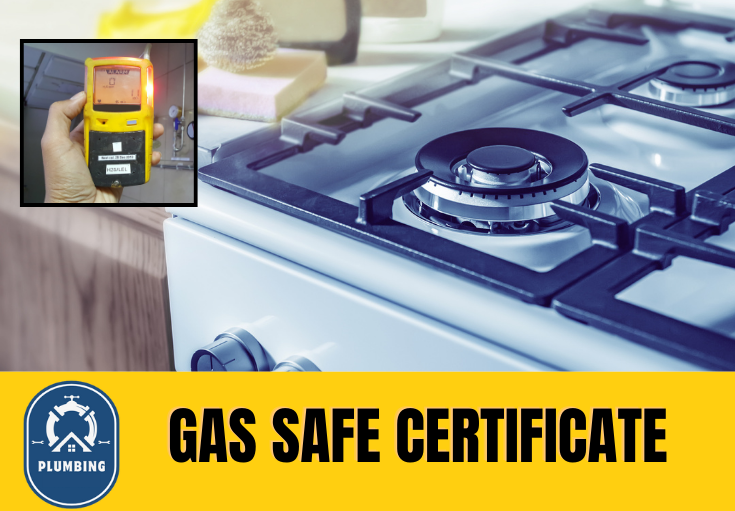 gas safe certificate Rochester 
