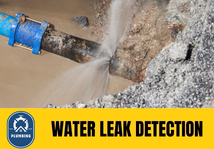leak detection Rochester 